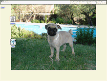 Tablet Screenshot of gaston.rigaux.com